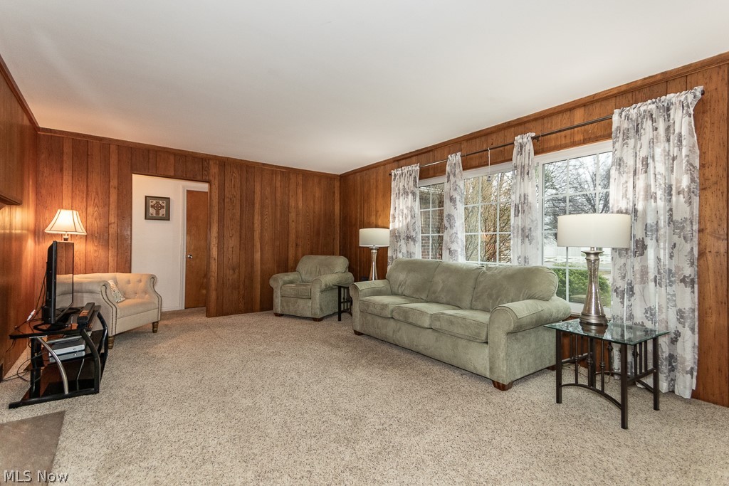 9771 Old Johnnycake Ridge Road Mentor, OH 44060 - Photo 3 of 29 Living room with wood walls and light colored carpet