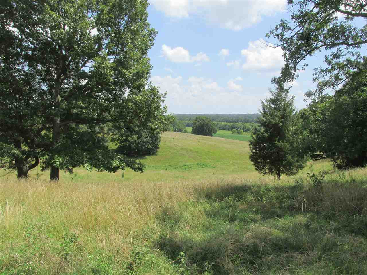 5190 Clay Farm Road Atwood, TN 38220 - Photo 11 of 23 Photo 11