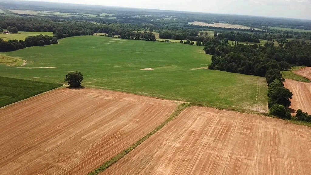 5190 Clay Farm Road Atwood, TN 38220 - Photo 14 of 23 Photo 15