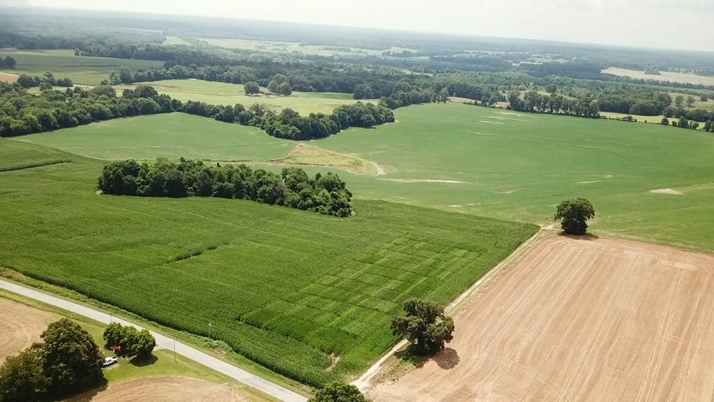 5190 Clay Farm Road Atwood, TN 38220 - Photo 16 of 23 Photo 17