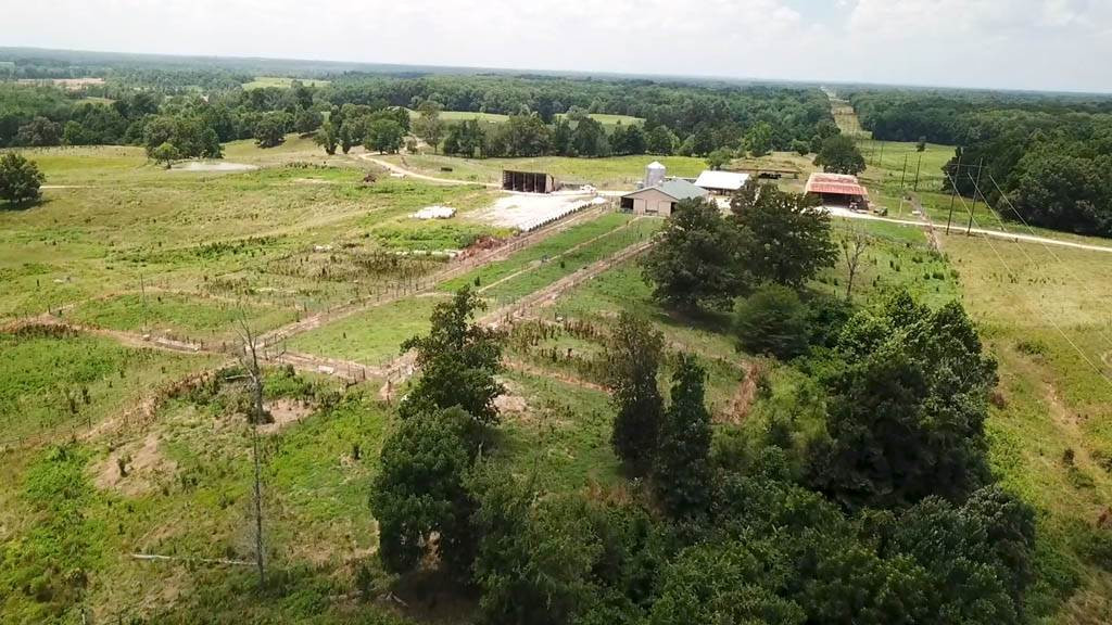 5190 Clay Farm Road Atwood, TN 38220 - Photo 5 of 23 Photo 5