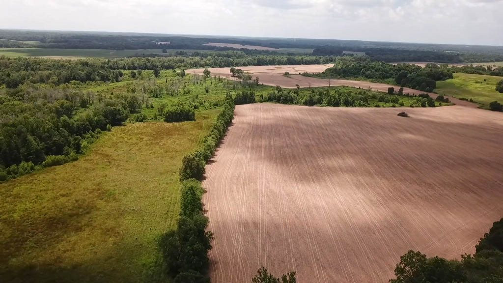 5190 Clay Farm Road Atwood, TN 38220 - Photo 6 of 23 Photo 6