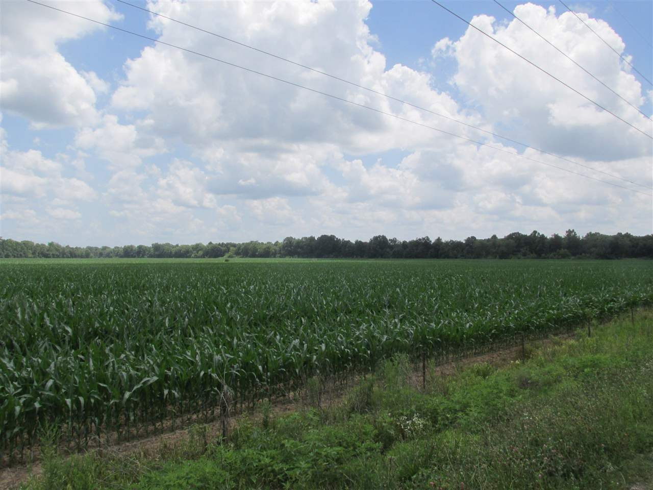 5190 Clay Farm Road Atwood, TN 38220 - Photo 7 of 23 Photo 7