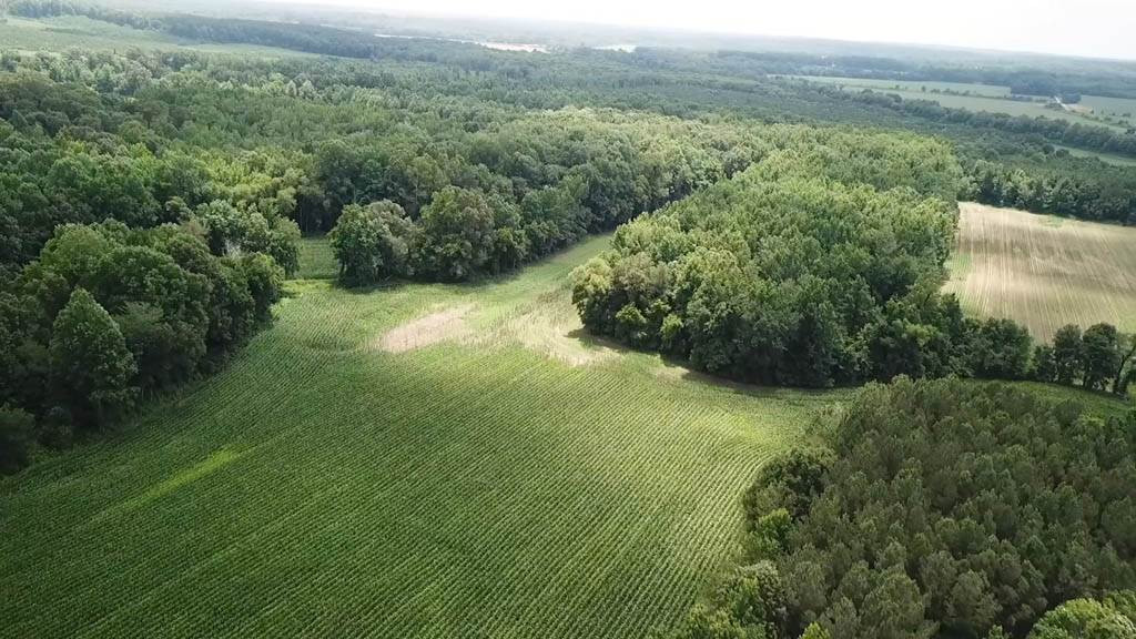 5190 Clay Farm Road Atwood, TN 38220 - Photo 9 of 23 Photo 9