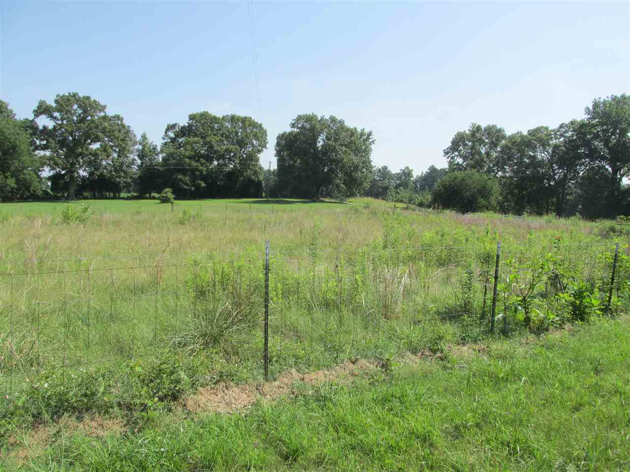 5190 Clay Farm Road Atwood, TN 38220 - Photo 10 of 23 Photo 10