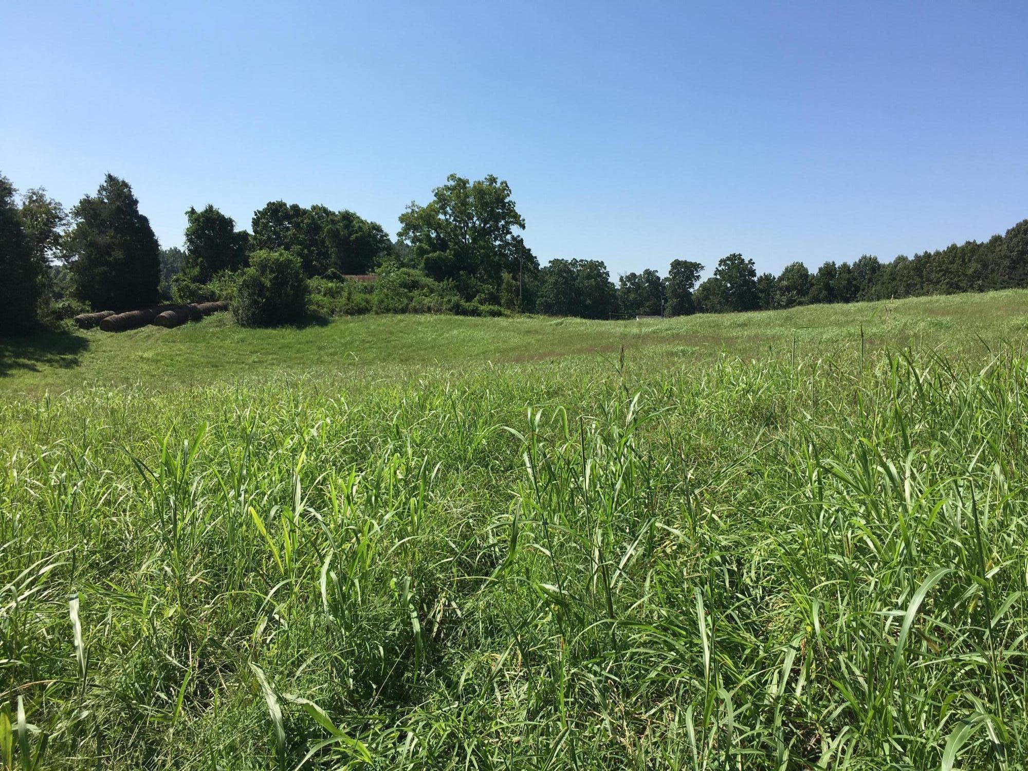 Billingsley Road Sweetwater, TN 37874 - Photo 2 of 5 20180823_155621007_iOS