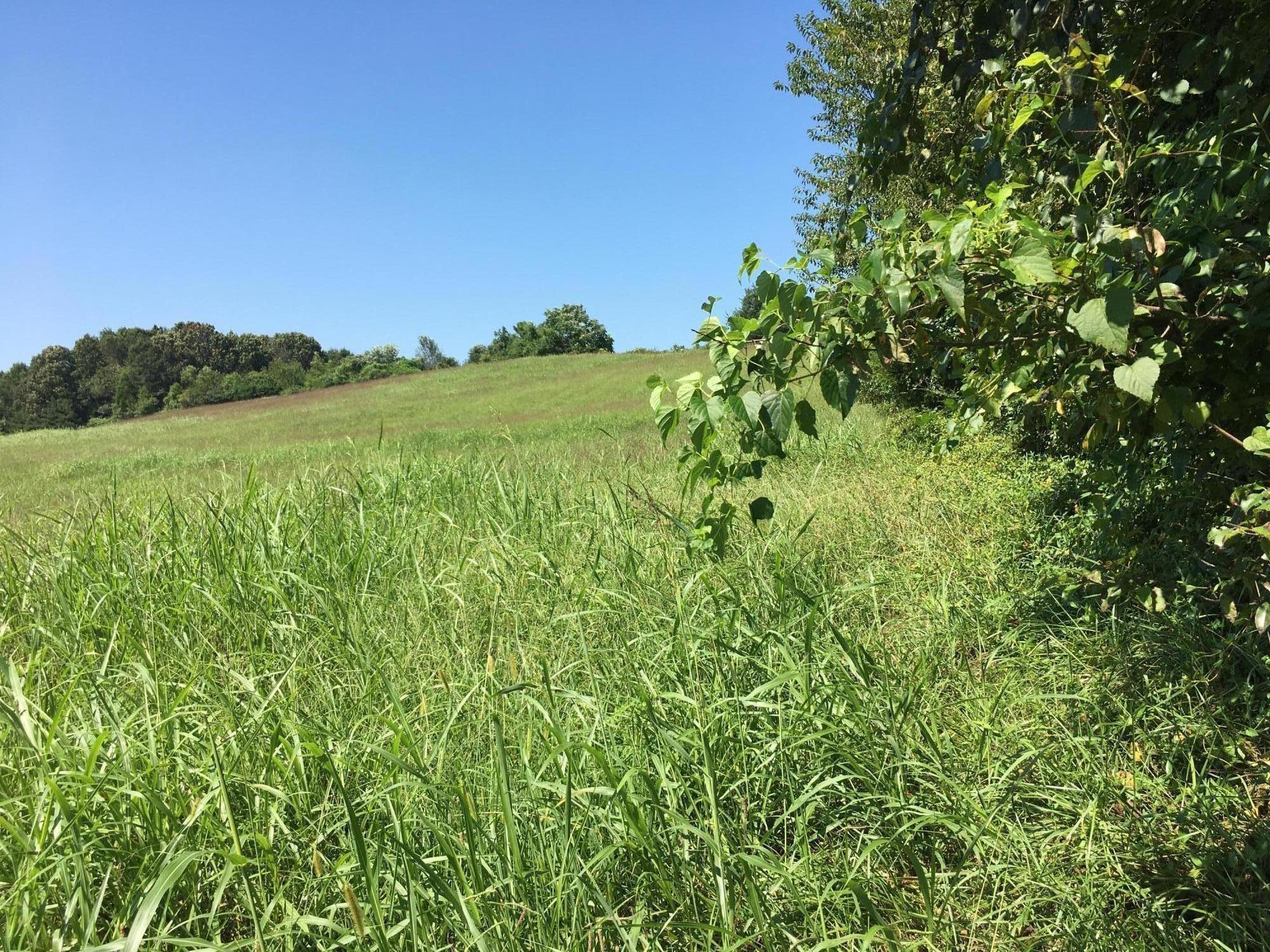Billingsley Road Sweetwater, TN 37874 - Photo 3 of 5 20180823_155634450_iOS