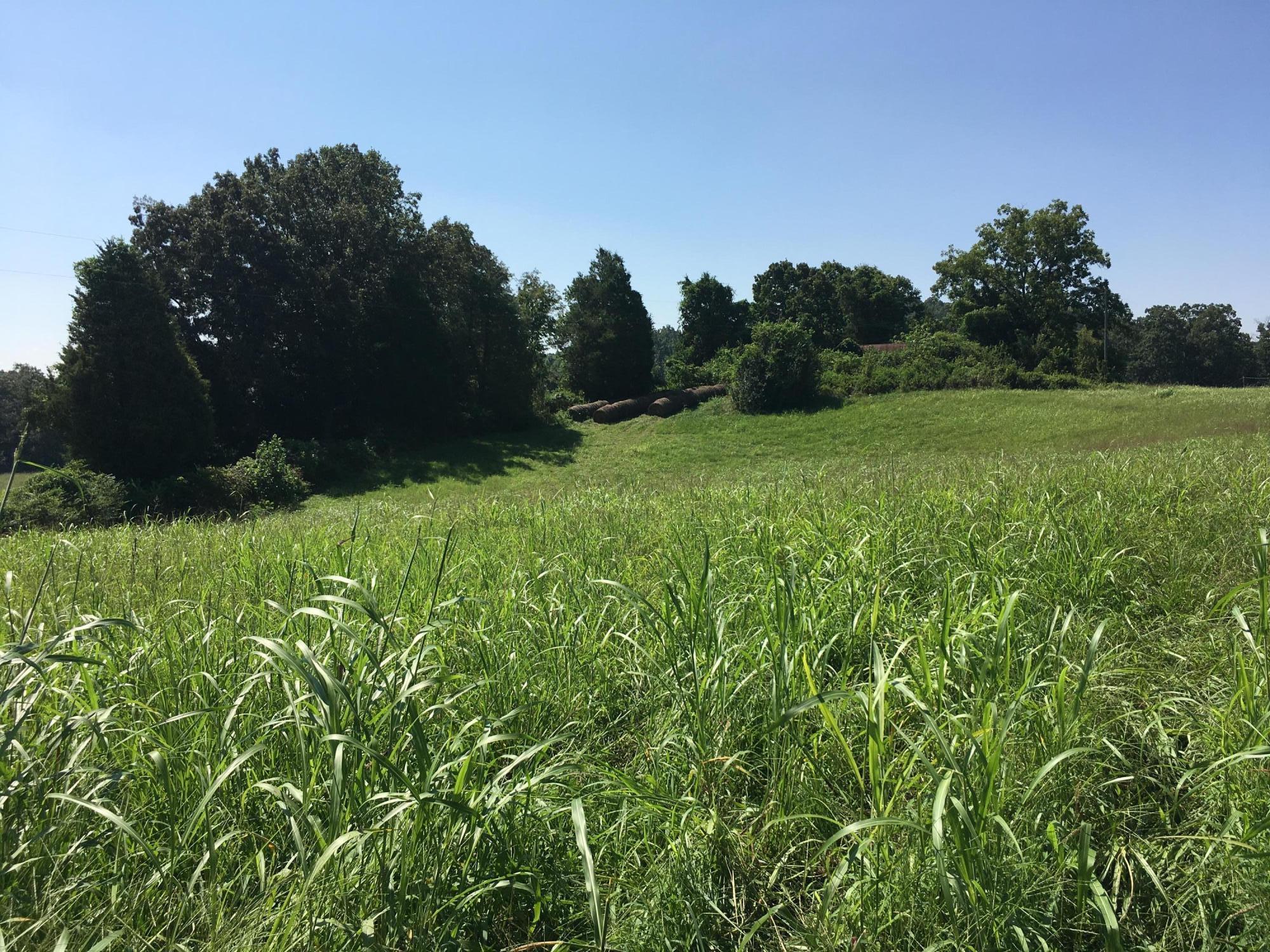 Billingsley Road Sweetwater, TN 37874 - Photo 4 of 5 20180823_155637318_iOS