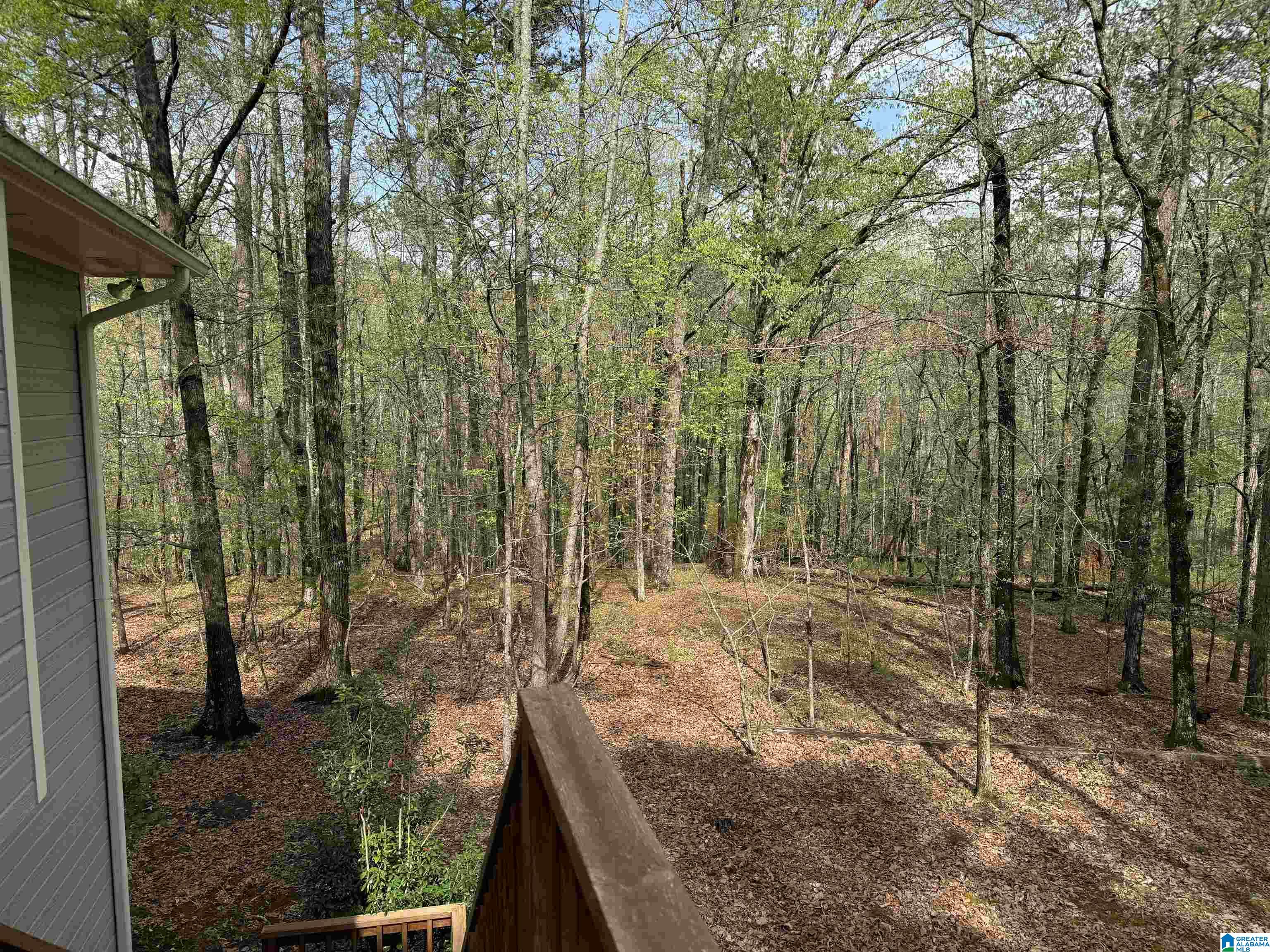 111 Redbud Road Columbiana, AL 35051 - Photo 43 of 49