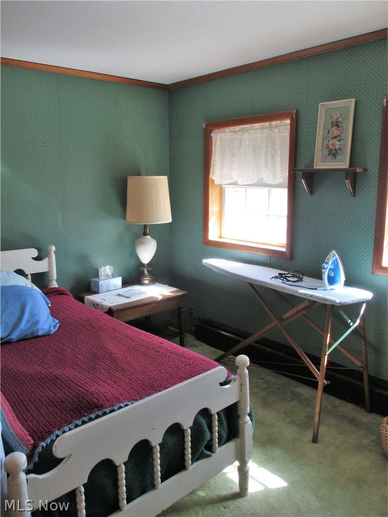 1555 Forman Road Austinburg, OH 44010 - Photo 21 of 35 Gallery Image 21