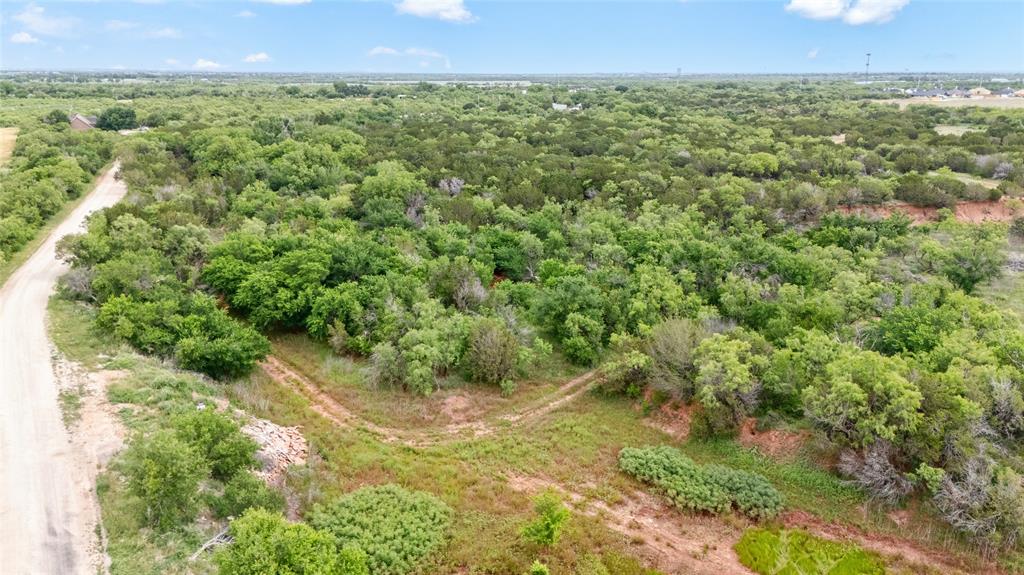117 Buchanan Road Abilene, TX 79606 - Photo 29 of 40 a view of a green field with lots of bushes
