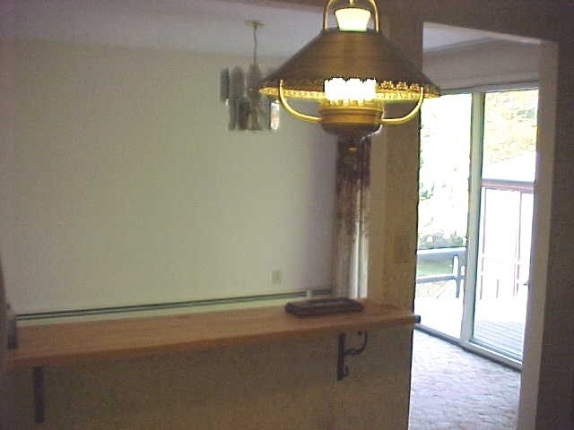 3508 Lake Road Delanson, NY 12053 - Photo 8 of 12 Photo 8