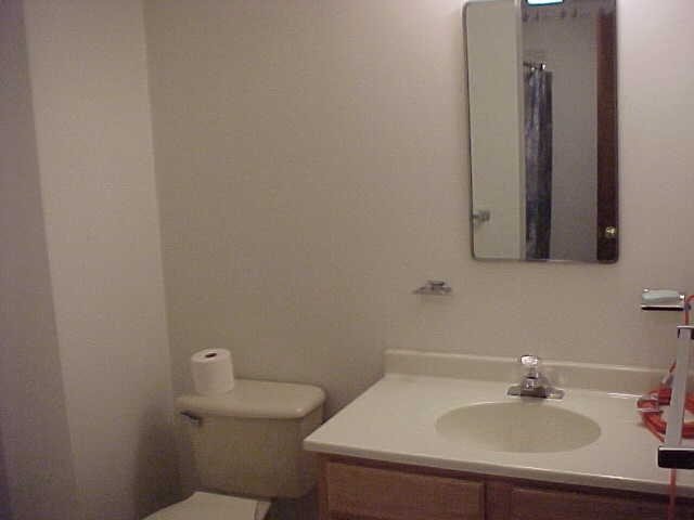 3508 Lake Road Delanson, NY 12053 - Photo 9 of 12 Photo 9
