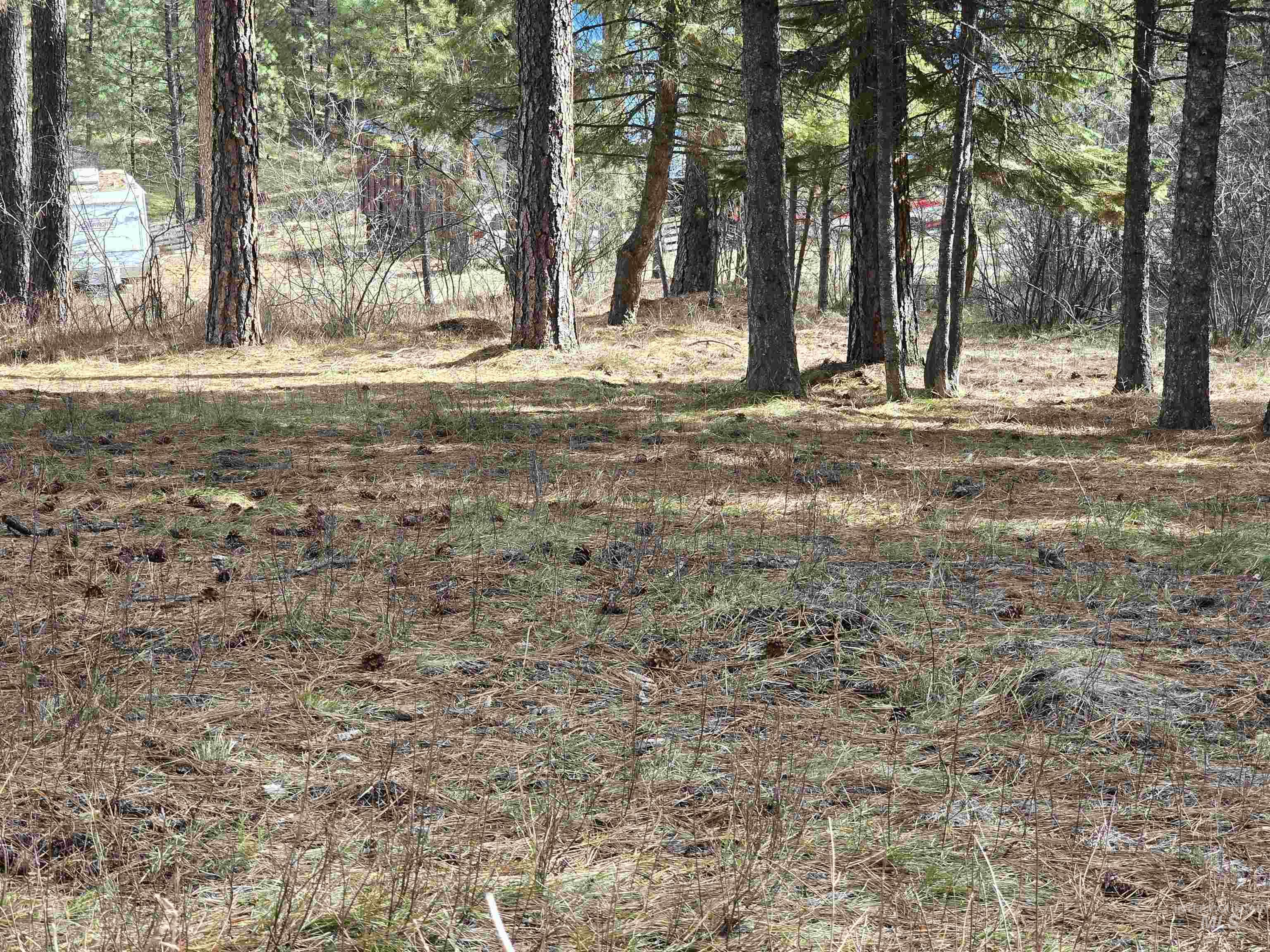Tbd Ranch Road Garden Valley, ID 83622 - Photo 7 of 12
