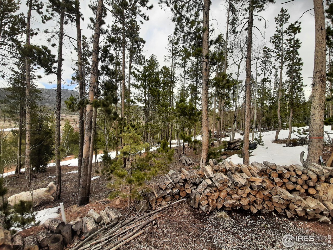 518 Huron Road Red Feather Lakes, CO 80545 - Photo 6 of 23 Gallery Image 6