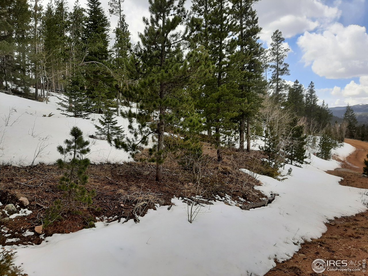 518 Huron Road Red Feather Lakes, CO 80545 - Photo 9 of 23 Gallery Image 9