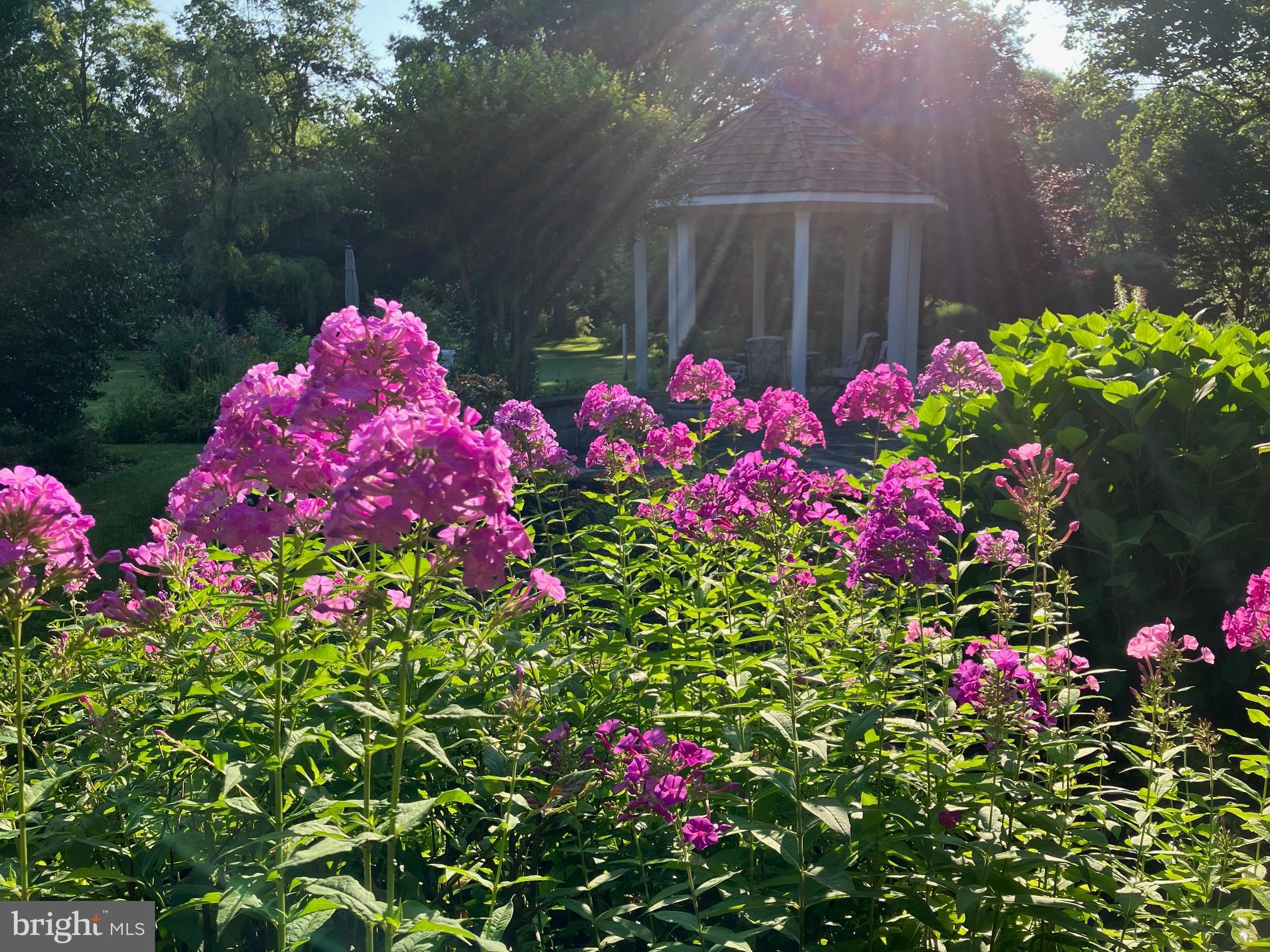 40863 Robin Circle Leesburg, VA 20175 - Photo 57 of 62
