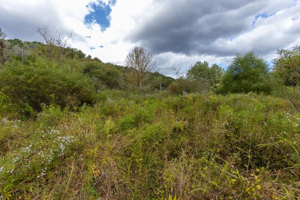 2889 Kieffer Road Crawley, WV 24931 - Photo 6 of 10 Gallery Image 6