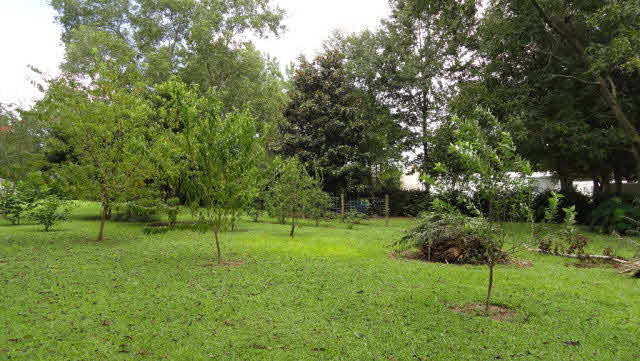 18559 Cape Fear Boulevard Foley, AL 36535 - Photo 37 of 37