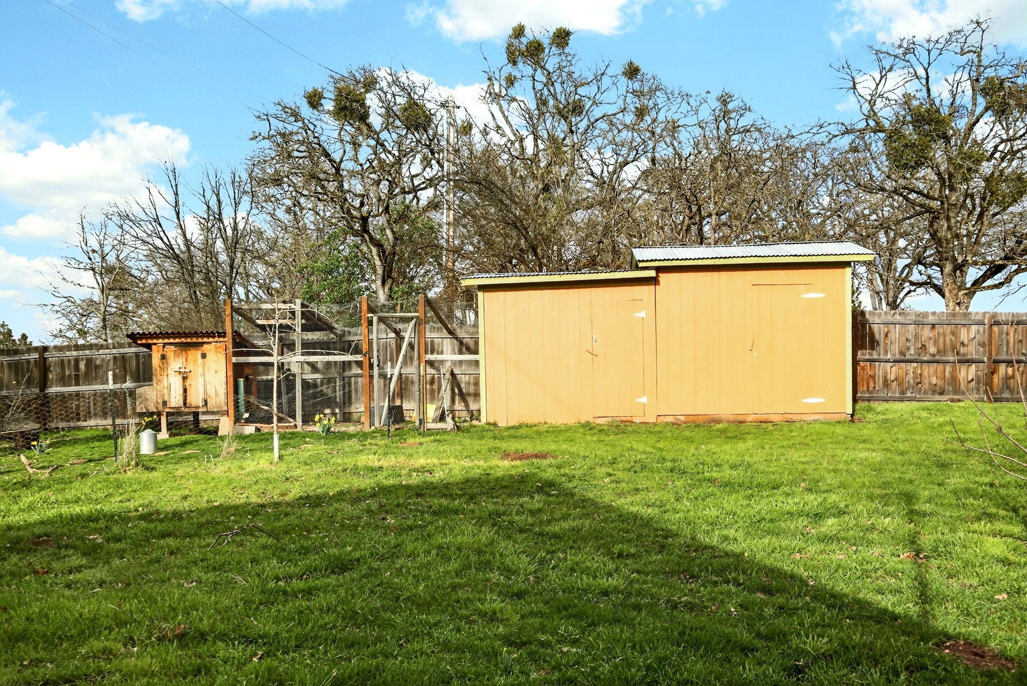 51 Sterling Creek Road Jacksonville, OR 97530 - Photo 45 of 54 a view of a backyard with a garden and trees