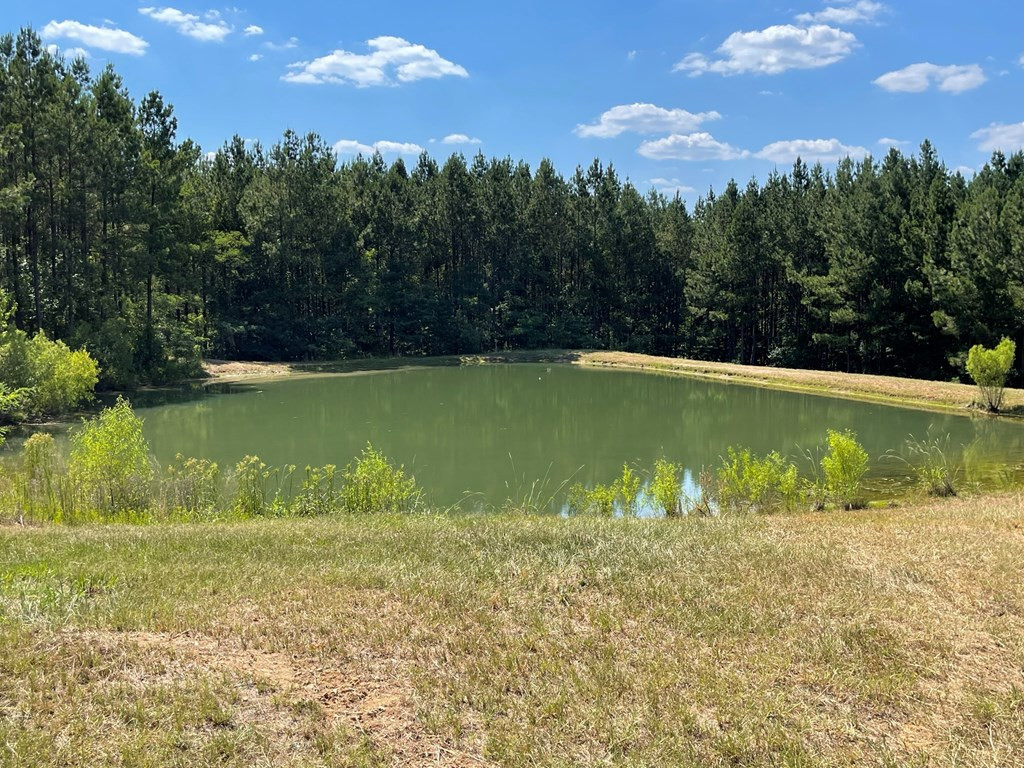 0 Seale Road Roxie, MS 39661 - Photo 2 of 11 Photo 2