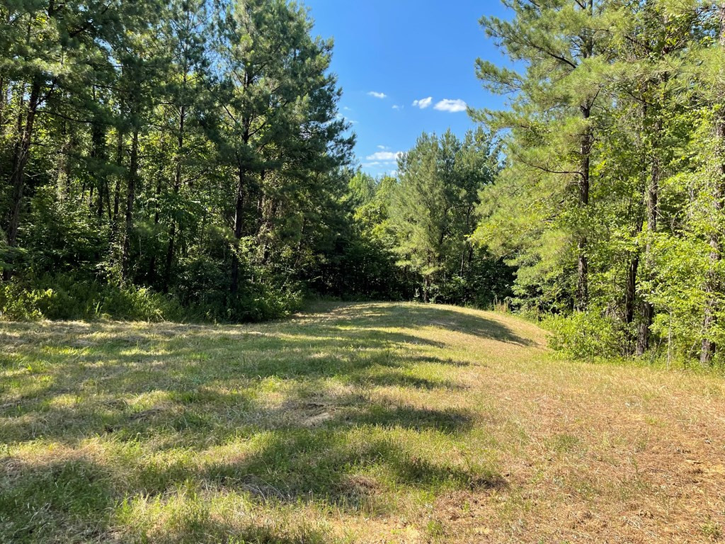 0 Seale Road Roxie, MS 39661 - Photo 4 of 11 Photo 4