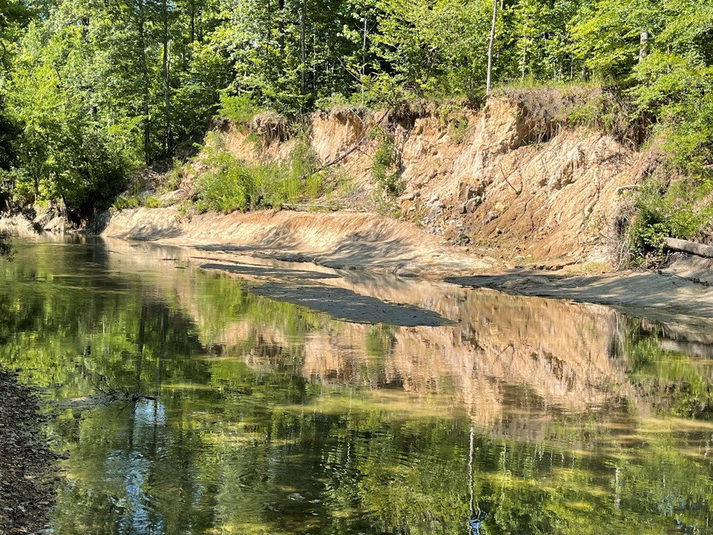 0 Seale Road Roxie, MS 39661 - Photo 5 of 11 Photo 5