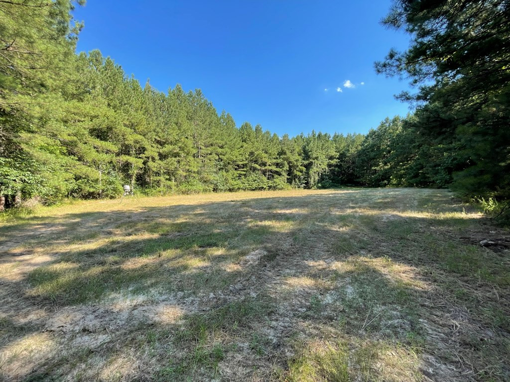 0 Seale Road Roxie, MS 39661 - Photo 6 of 11 Photo 6