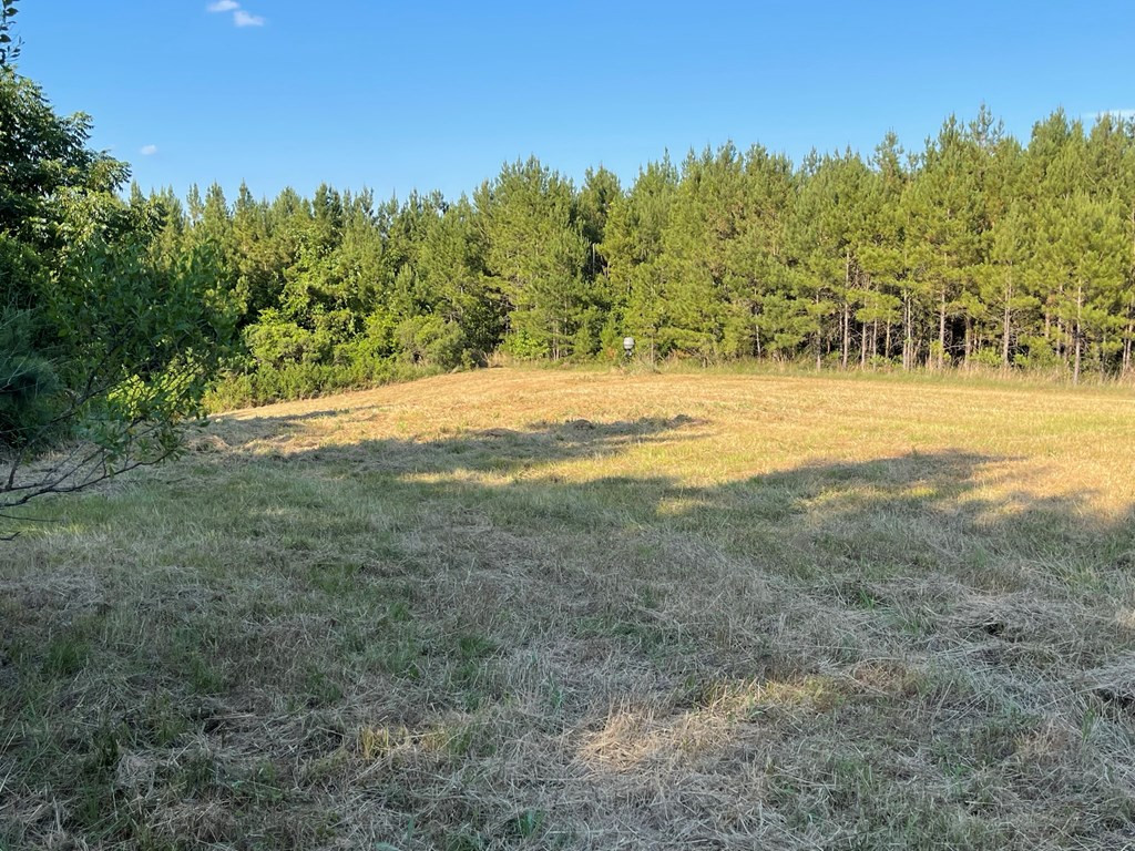 0 Seale Road Roxie, MS 39661 - Photo 7 of 11 Photo 7