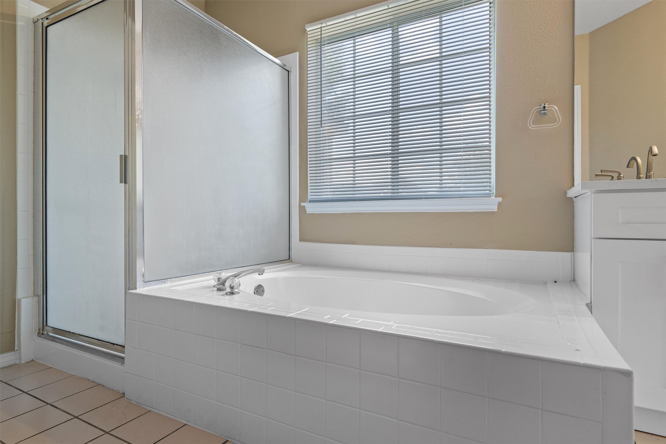 100 Parque Circle Georgetown, TX 78626 - Photo 21 of 39 a bathroom with a bathtub and a shower