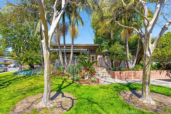 a view of a backyard with plants