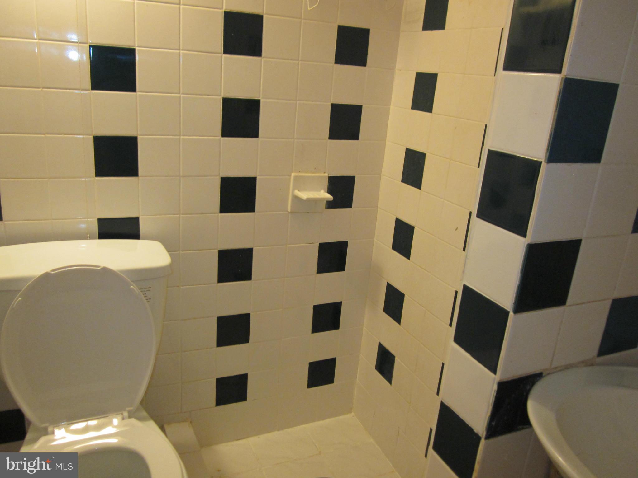 2700 1st Road North Arlington, VA 22201 - Photo 15 of 20 Bath
