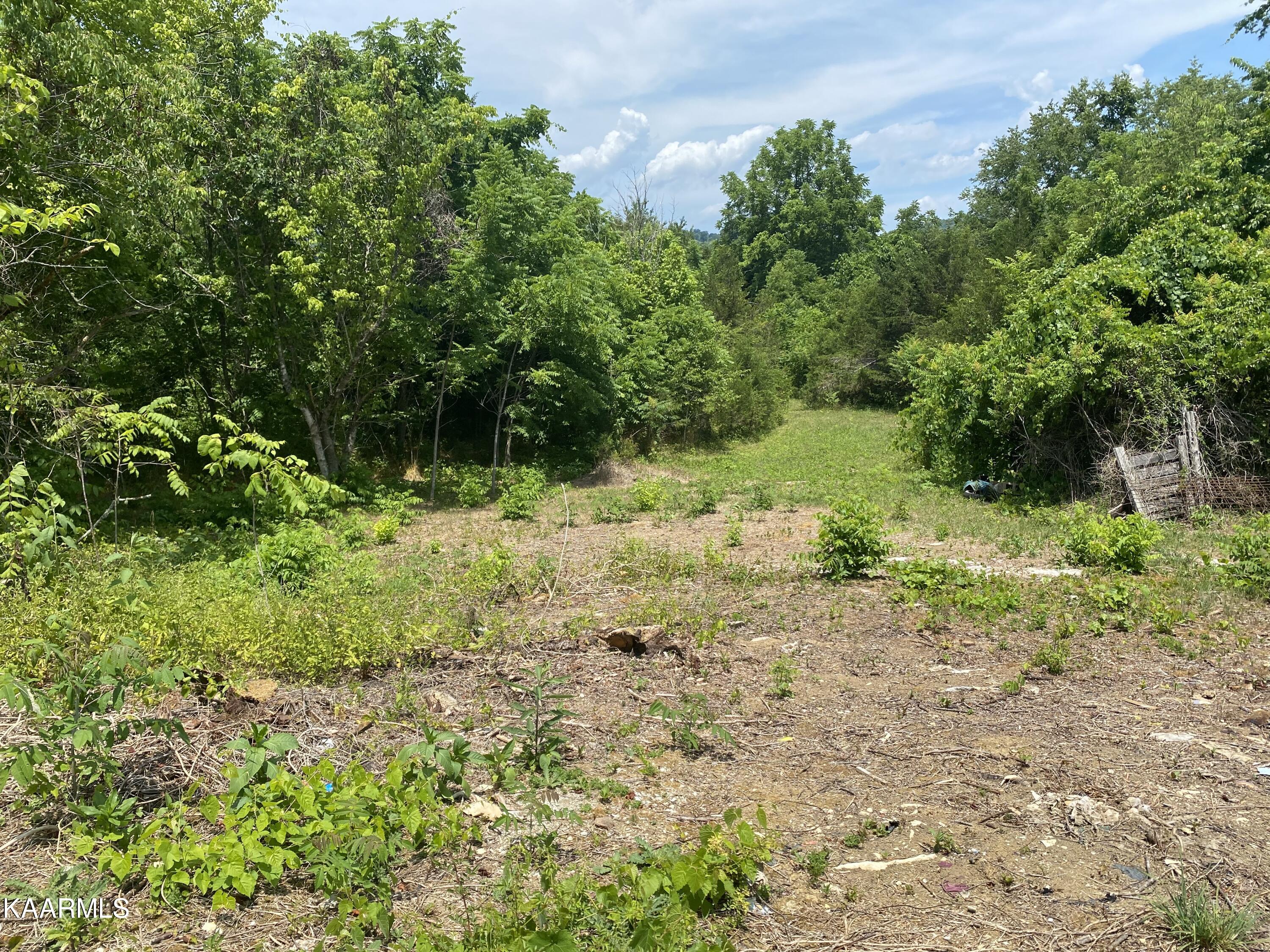 2094 Lone Mountain Road Tazewell, TN 37879 - Photo 7 of 12 IMG_3130