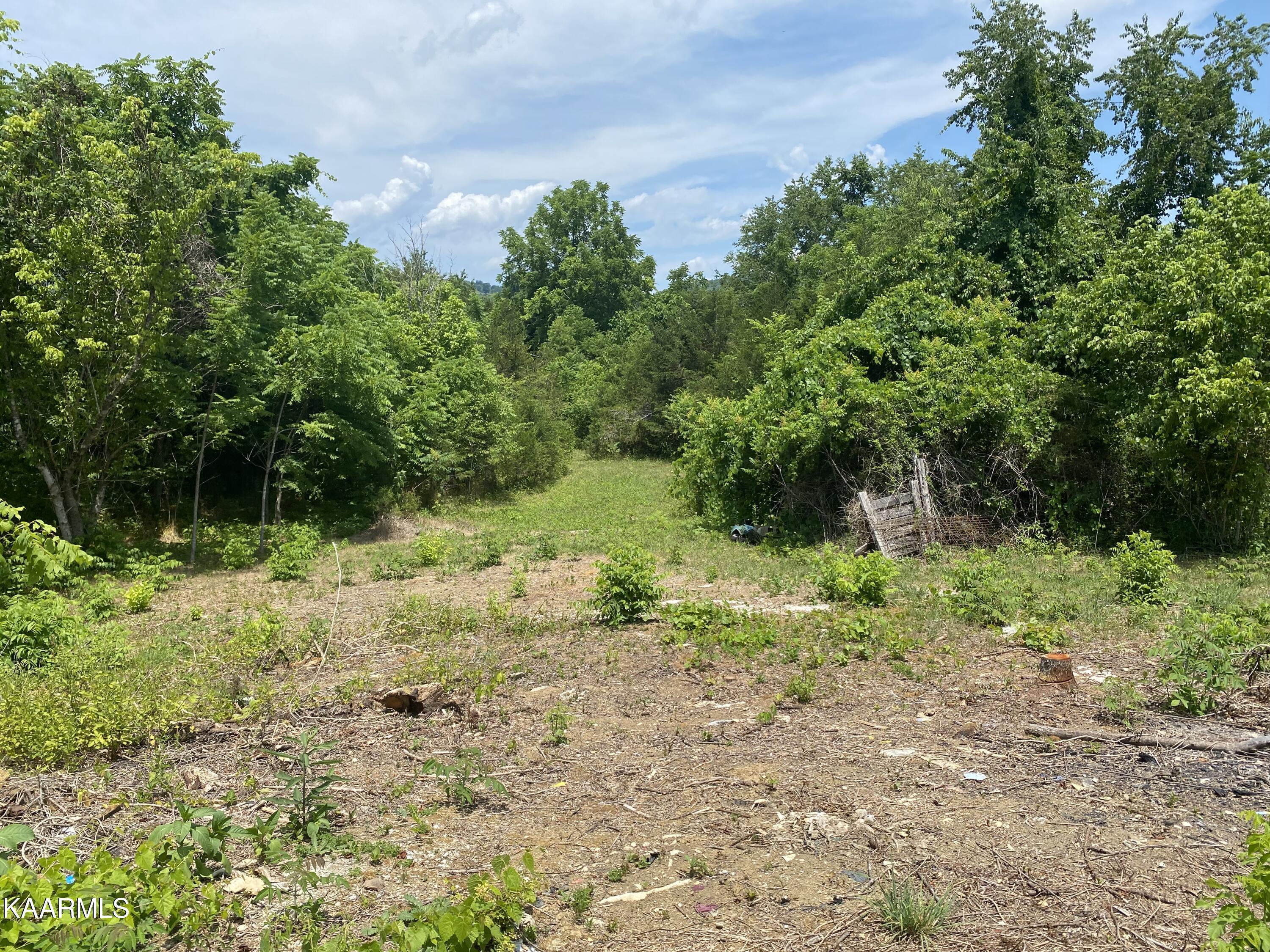 2094 Lone Mountain Road Tazewell, TN 37879 - Photo 8 of 12 IMG_3131
