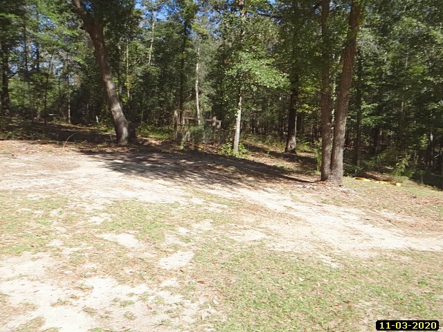 77 Bluff Creek Road Pittsview, AL 36871 - Photo 2 of 12