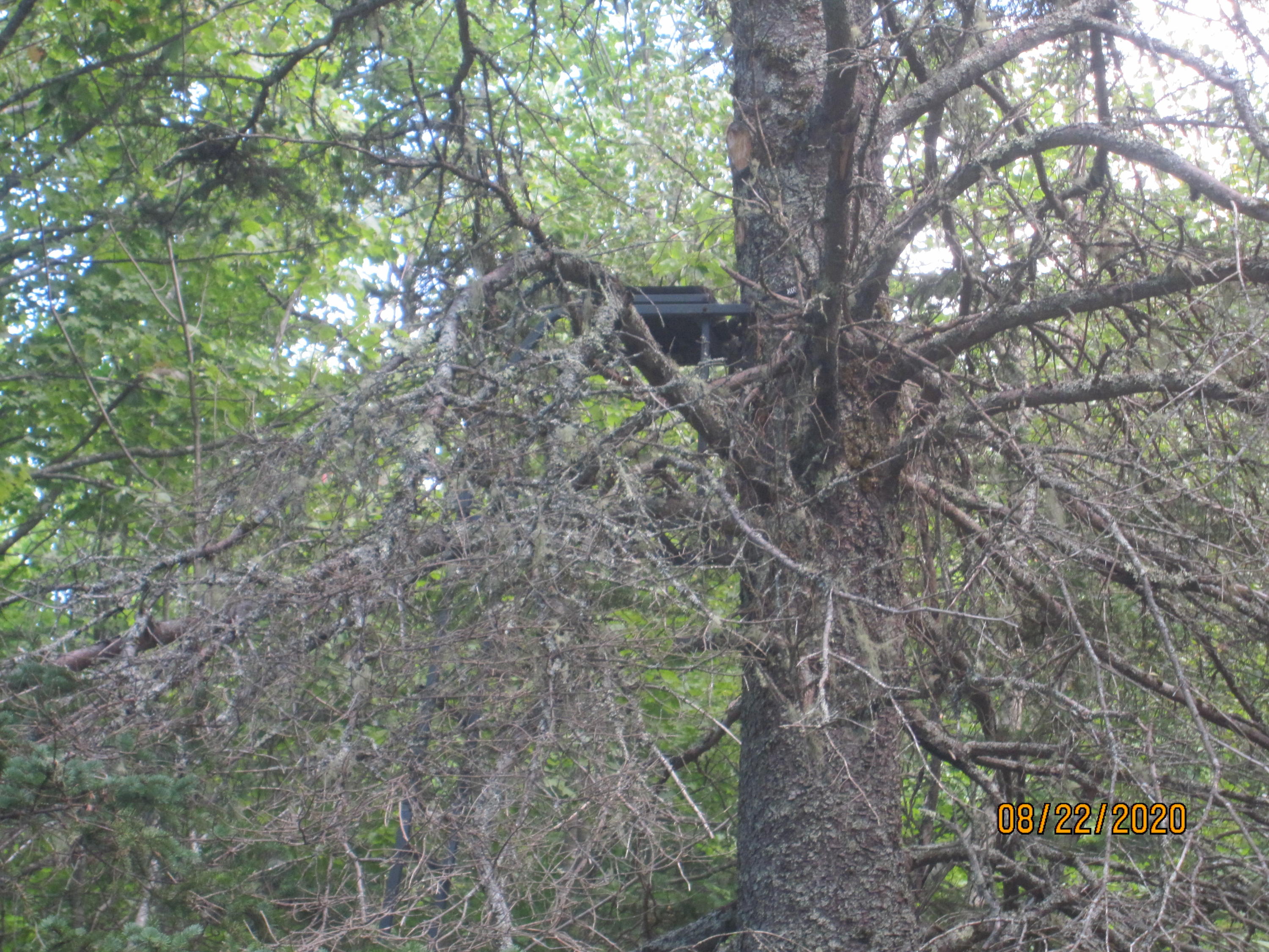 0 Lamson Brook Addison, ME 04606 - Photo 19 of 21 IMG_6092 - Copy