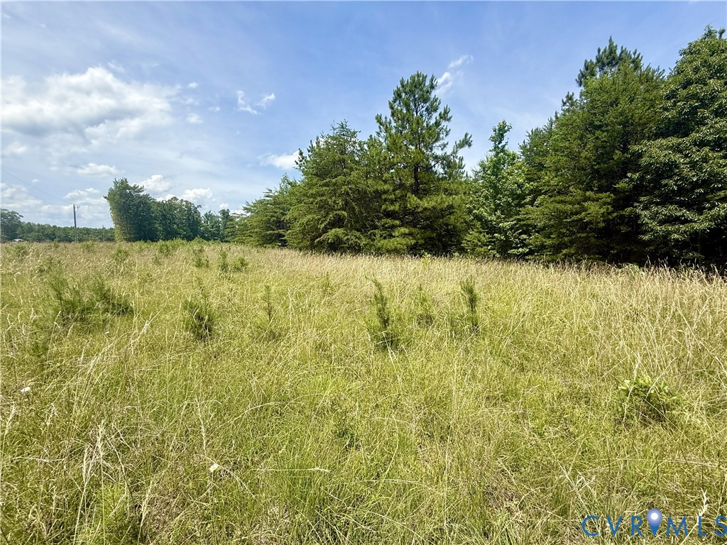 Lot 25 Whispering Wood Road Meherrin, VA 23954 - Photo 1 of 13