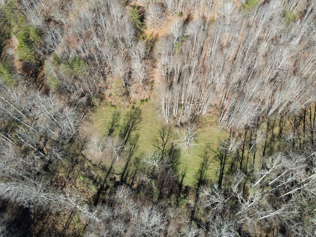 Old Mill Road Patrick Springs, VA 24133 - Photo 16 of 49 Gallery Image 16