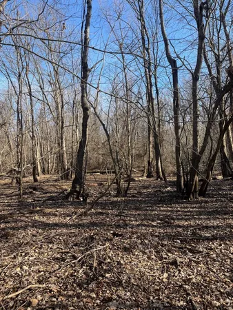 a view of a backyard of the house