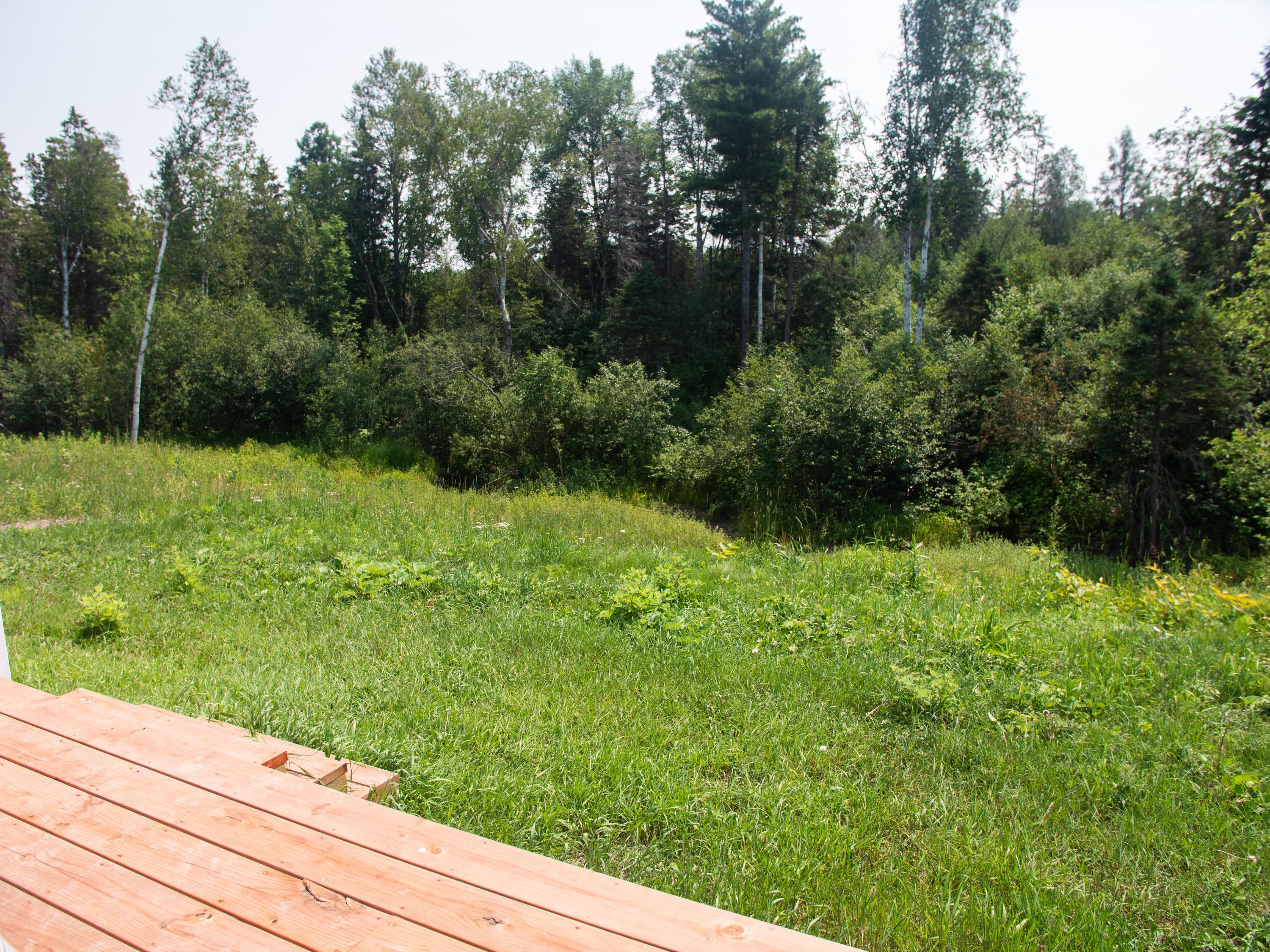 3617 West 11 Mile Road Dafter, MI 49724 - Photo 42 of 45 Gallery Image 42