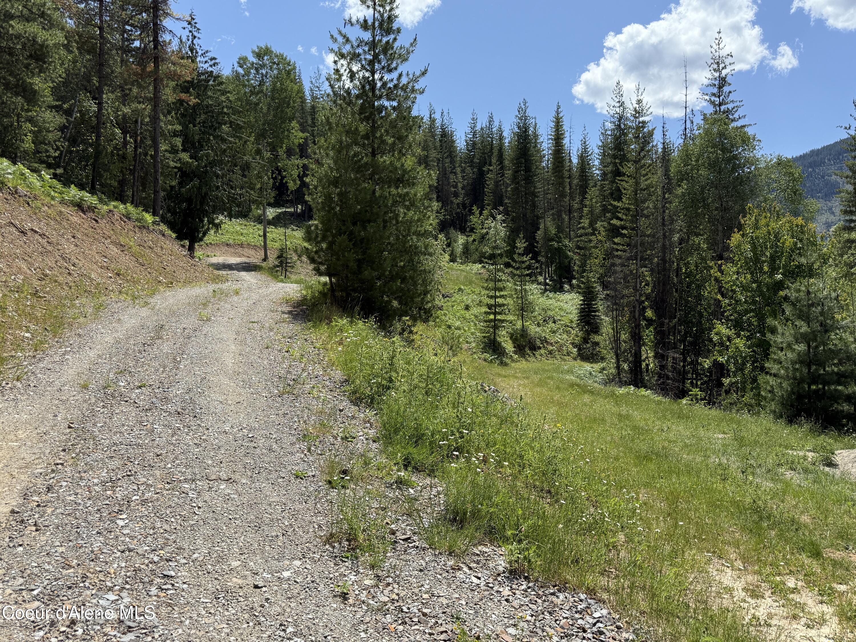 928 Polaris Peak Road Kellogg, ID 83837 - Photo 3 of 10 3