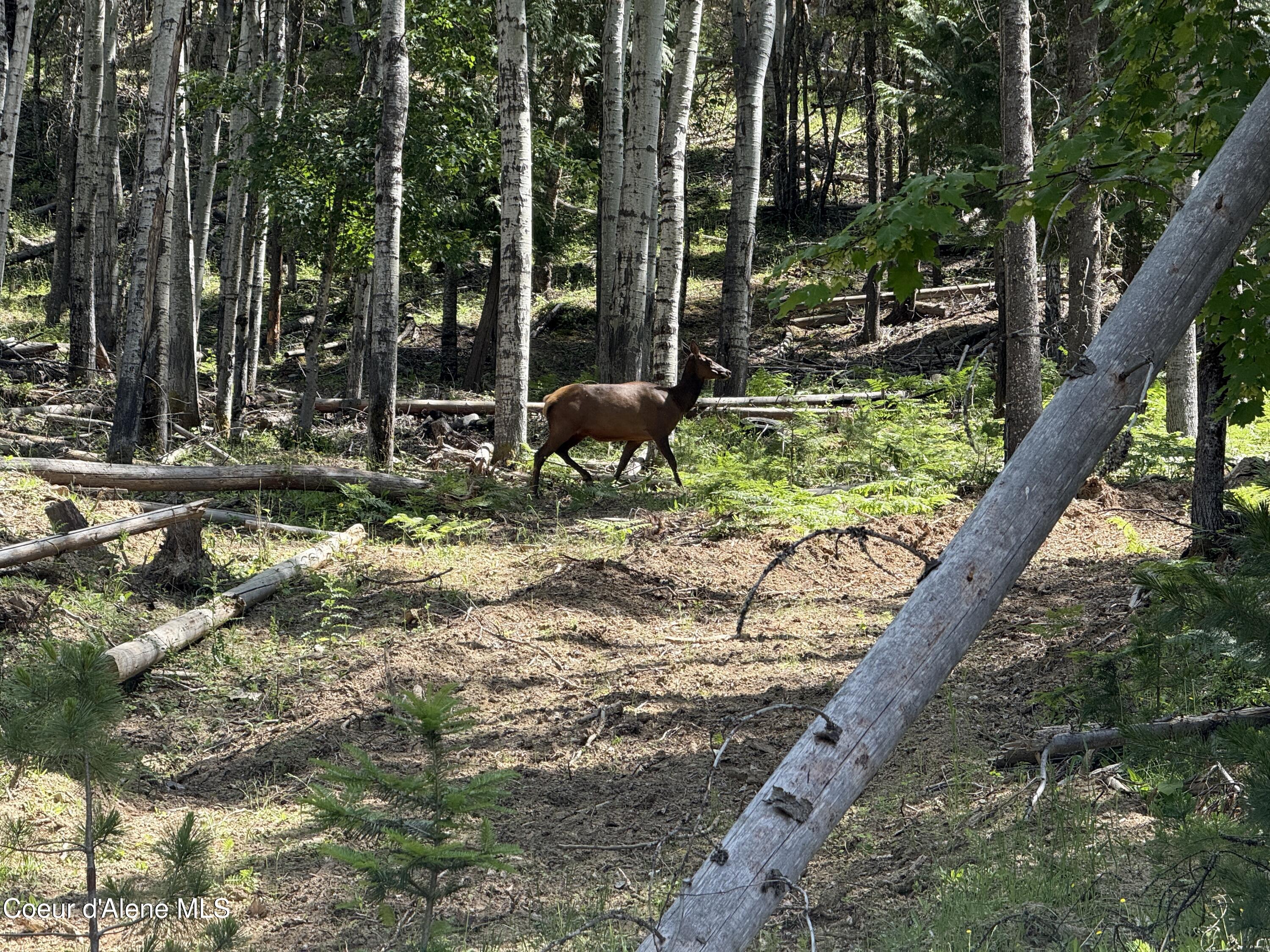 928 Polaris Peak Road Kellogg, ID 83837 - Photo 9 of 10 9