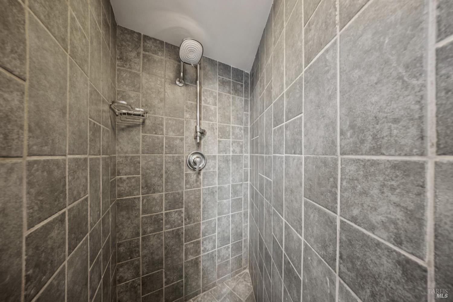 177 Oak Drive San Rafael, CA 94901 - Photo 20 of 27 a bathroom with a shower