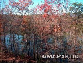 901 Hawk Ridge Drive Mill Spring, NC 28756 - Photo 9 of 12 a view of a park that has large trees