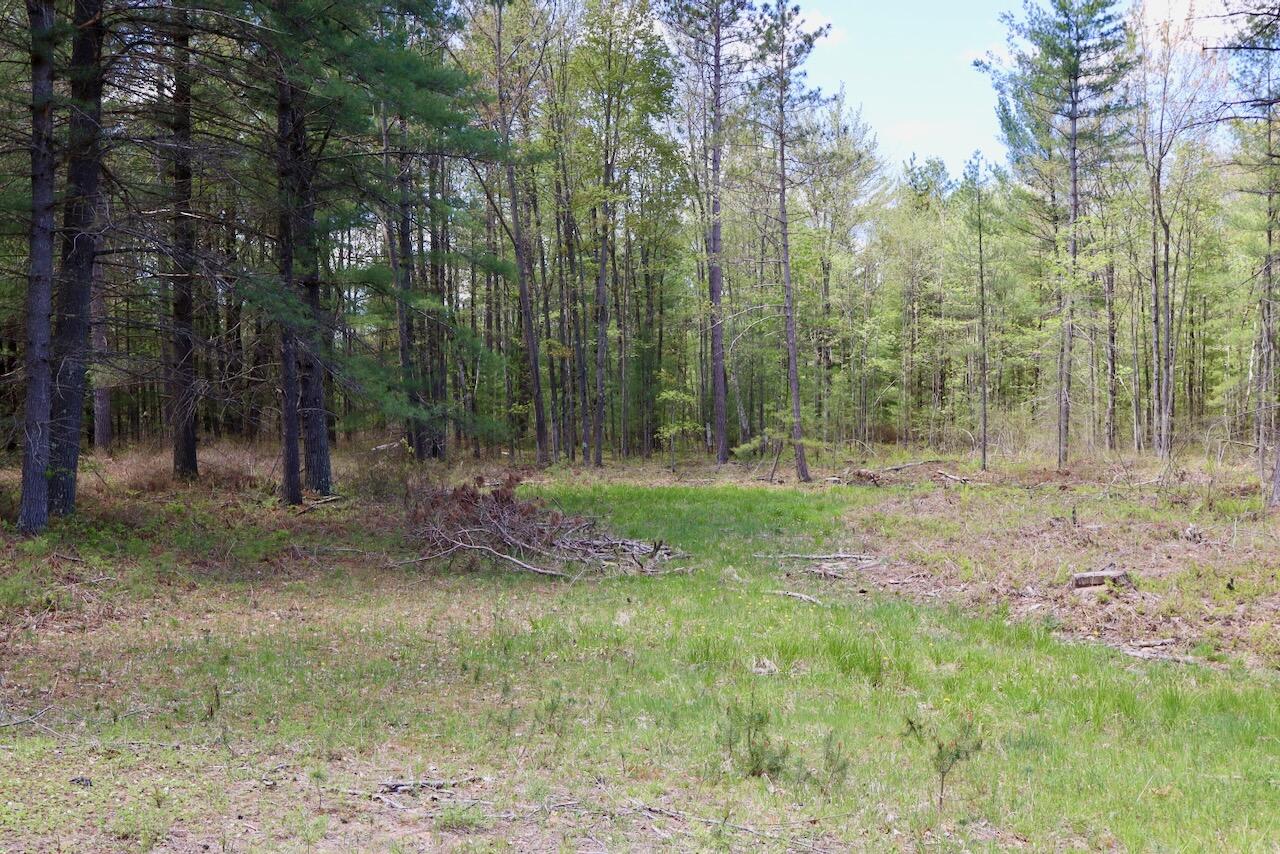 5826 South Morrison Road Alger, MI 48610 - Photo 65 of 86 054