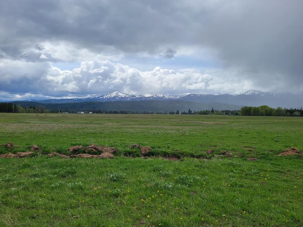 Tbd Clear Creek Road Cascade, ID 83611 - Photo 1 of 1 Main View