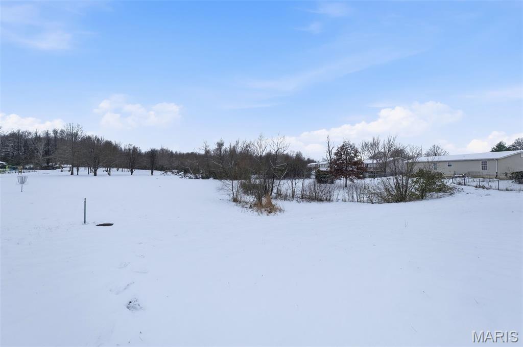 220 Beech Tree Drive Troy, MO 63379 - Photo 41 of 42