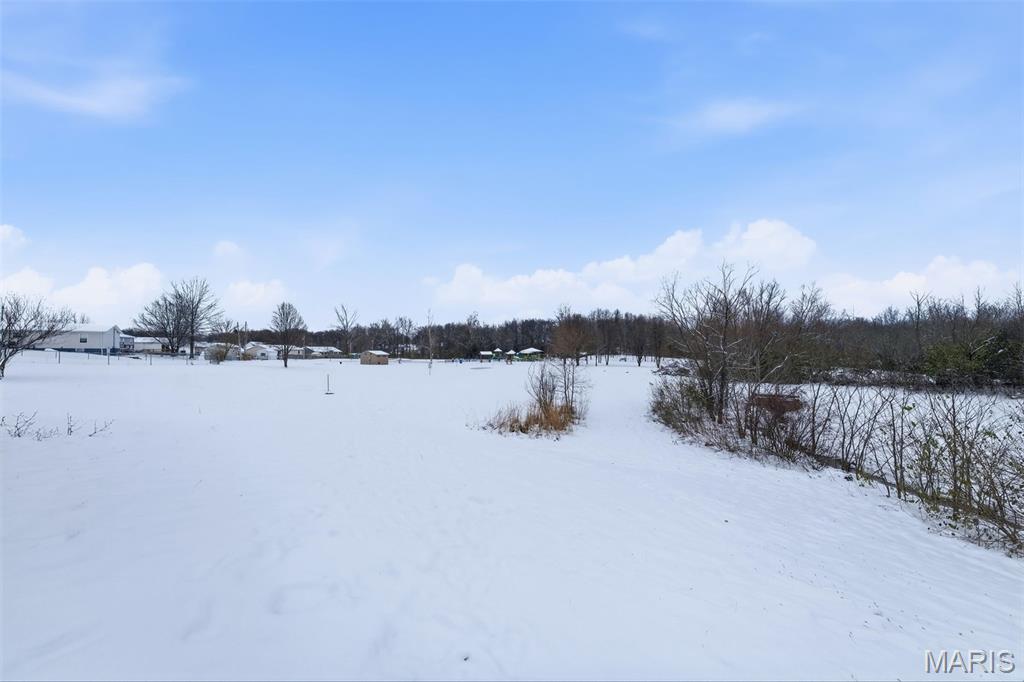 220 Beech Tree Drive Troy, MO 63379 - Photo 42 of 42