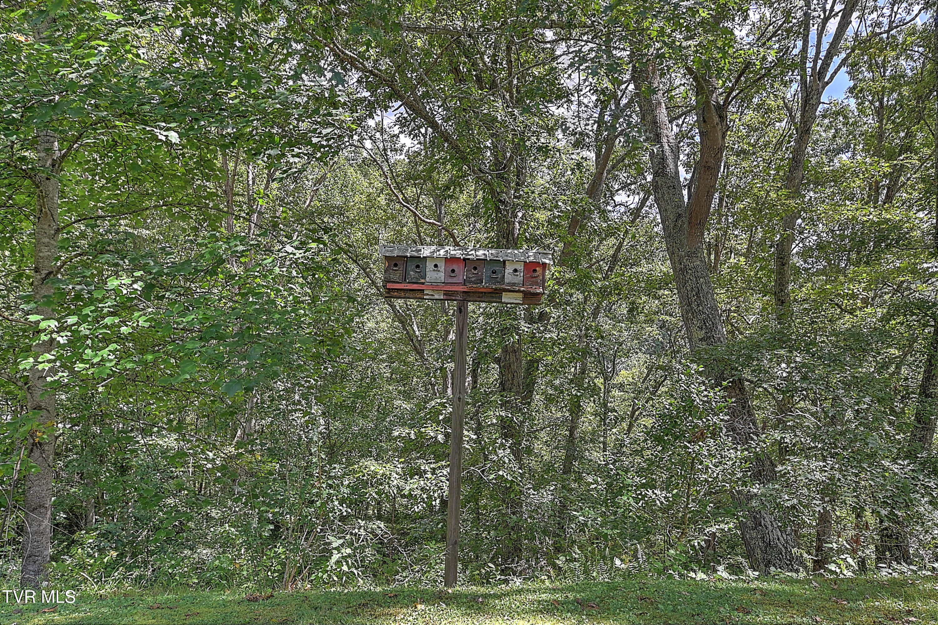 359 Maple Gap Road Swords Creek, VA 24649 - Photo 47 of 49 359 Maple Gap Rd AB-47
