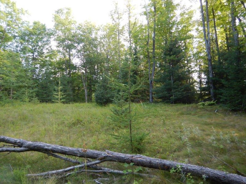 7704 Crab Lake Road Presque Isle, WI 54557 - Photo 7 of 7 Gallery Image 7